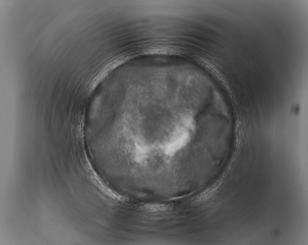 X0000112011033200908171438