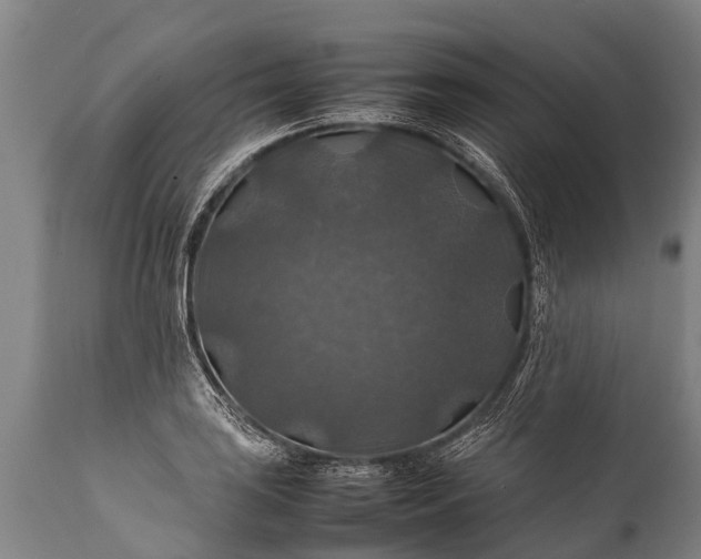 X0000112011035200908171438