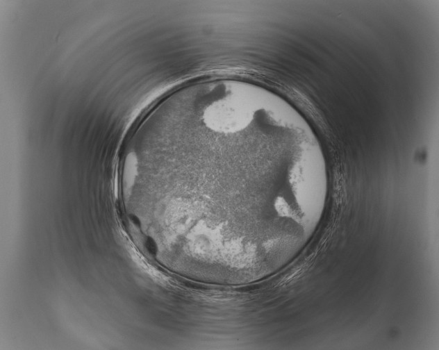 X0000112011036200908171438