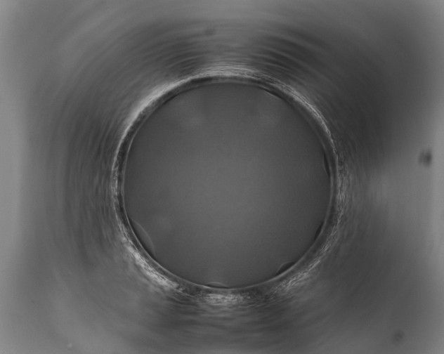 X0000112011037200908171438