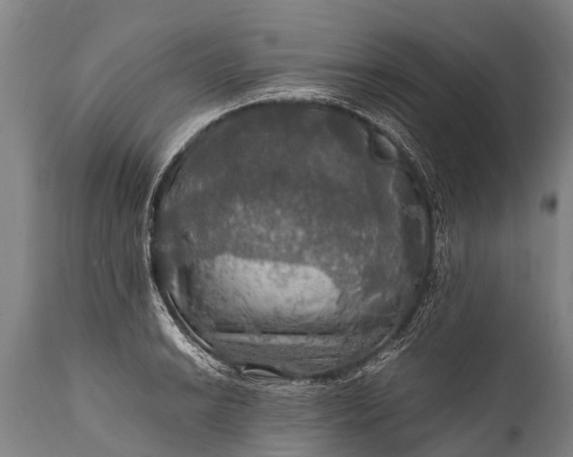 X0000112011038200908171438