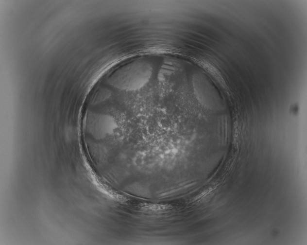 X0000112011039200908171438