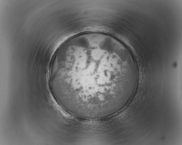 X0000112011040200908171438