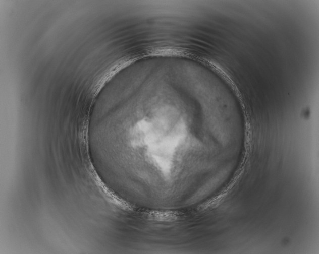 X0000112011041200908171438