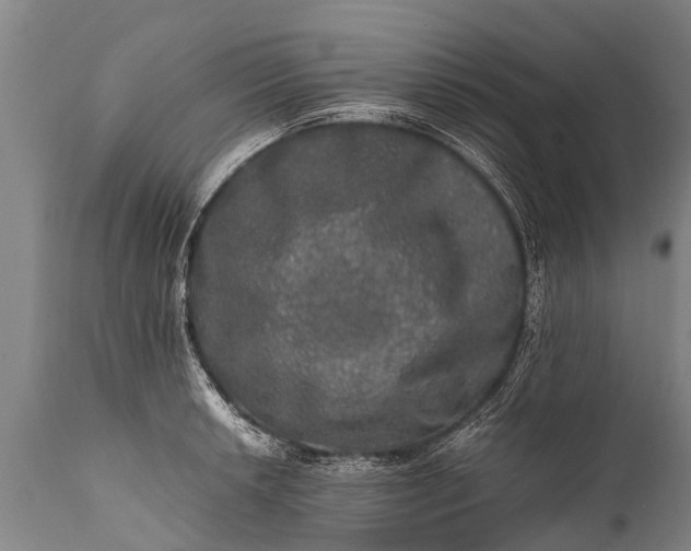 X0000112011042200908171438