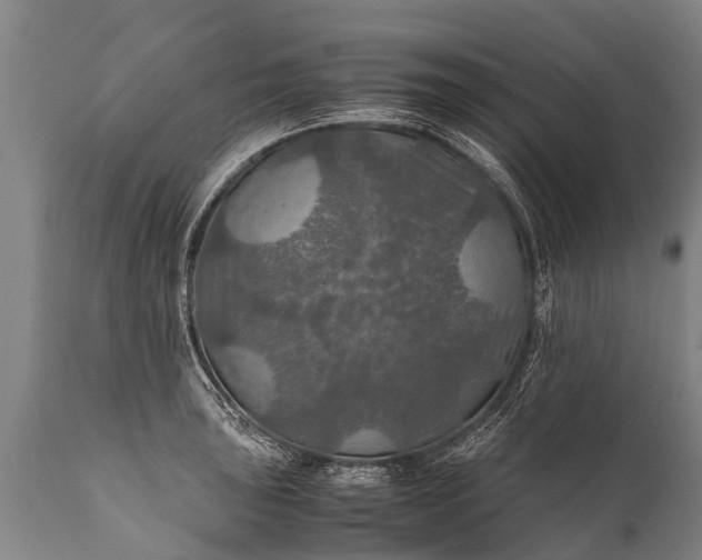 X0000112011043200908171438