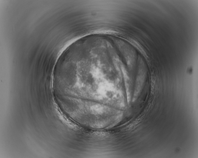 X0000112011044200908171438