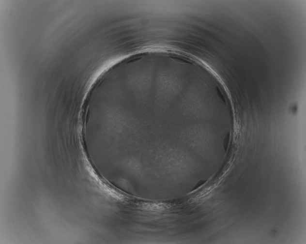 X0000112011045200908171438