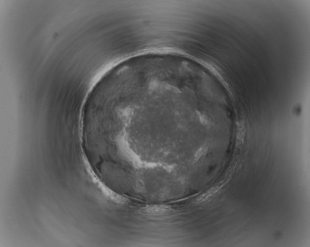 X0000112011046200908171438