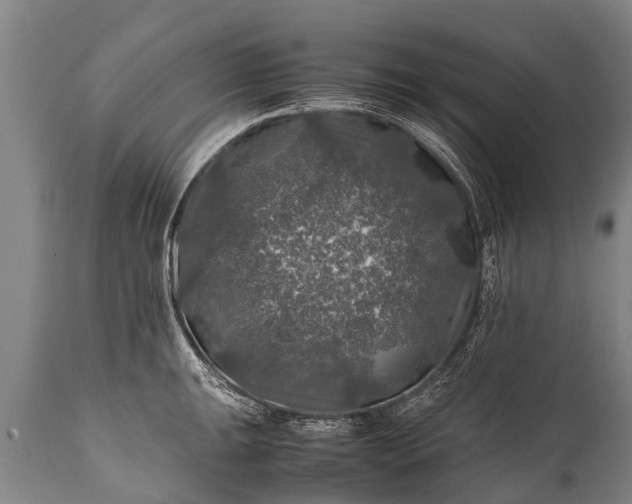 X0000112011047200908171438