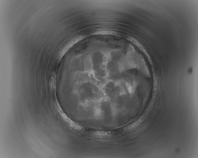 X0000112011049200908171438