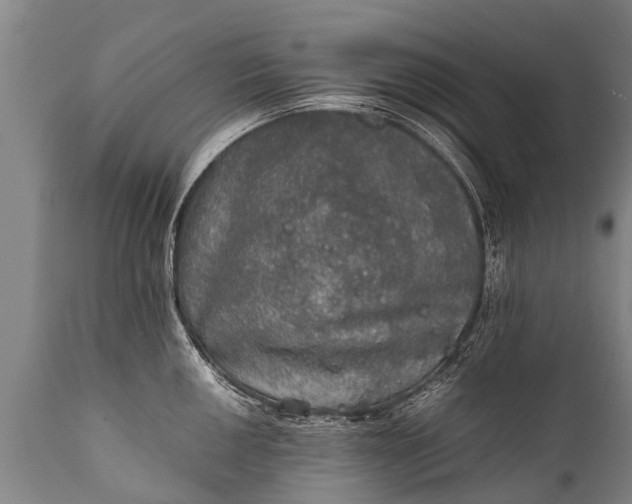 X0000112011050200908171438