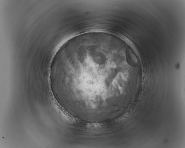 X0000112011051200908171438