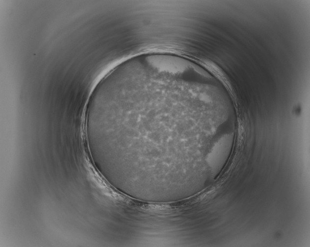 X0000112011052200908171438