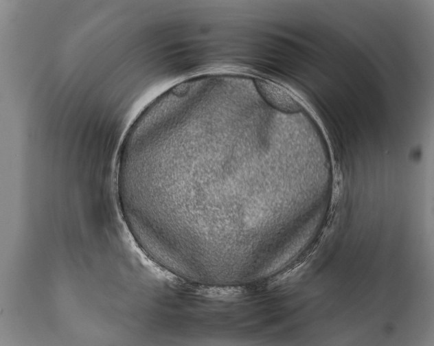 X0000112011053200908171438