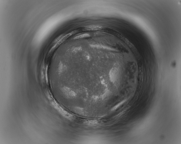 X0000112011054200908171438