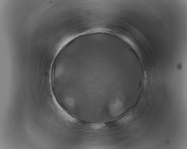 X0000112011055200908171438