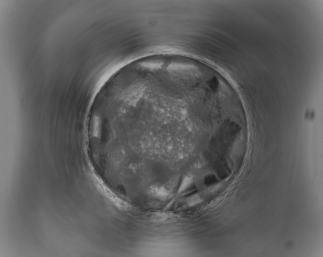 X0000112011056200908171438