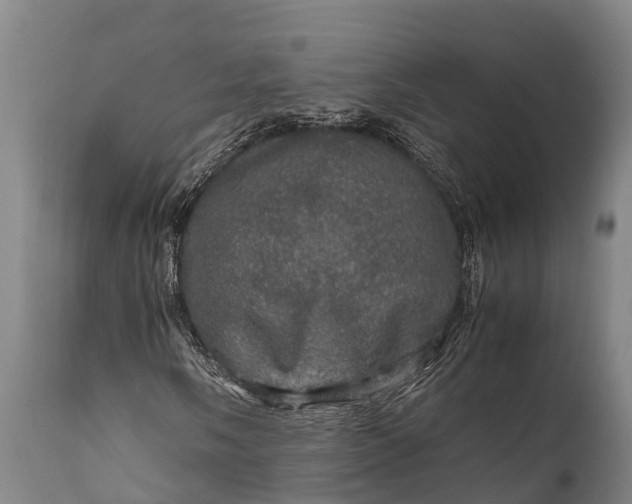 X0000112011058200908171437