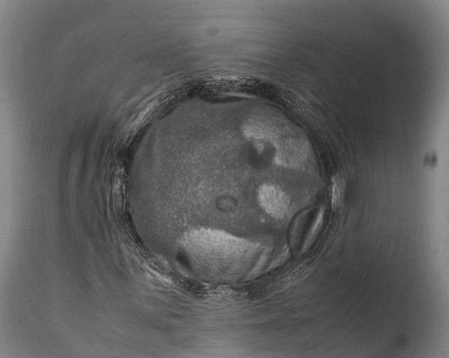 X0000112011059200908171437