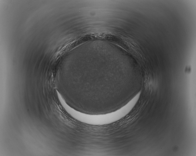 X0000112011060200908171437