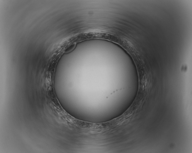 X0000112011062200908171437