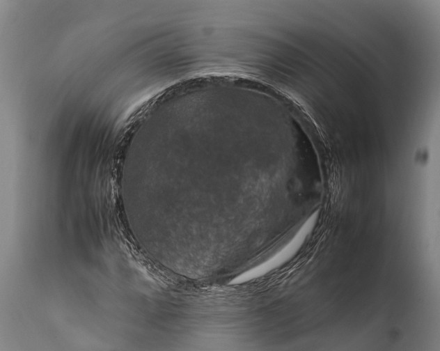 X0000112011064200908171437