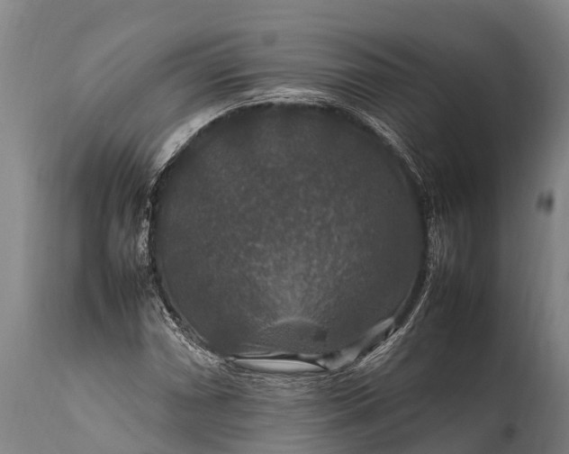 X0000112011066200908171437