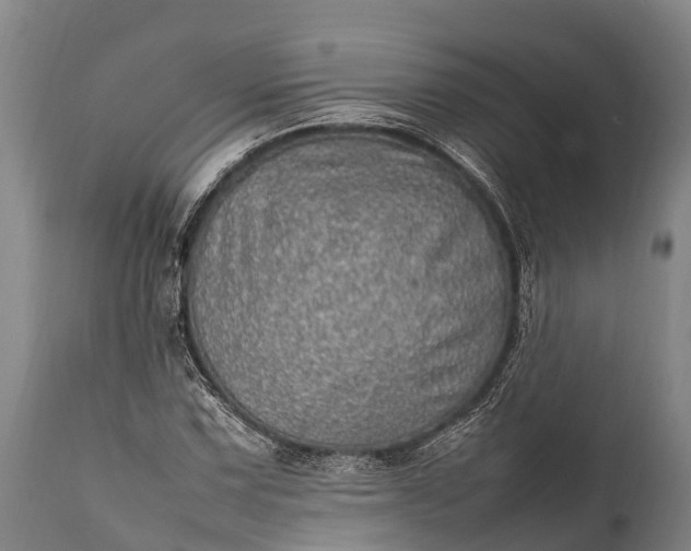 X0000112011067200908171437