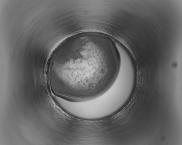 X0000112011068200908171437