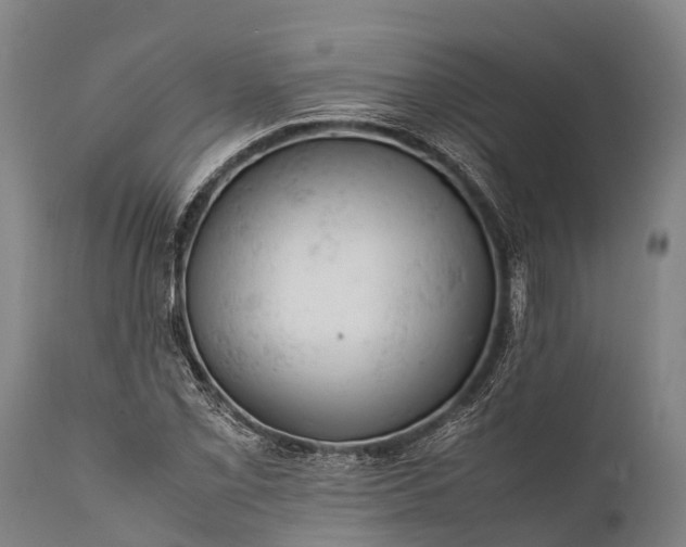 X0000112011069200908171437