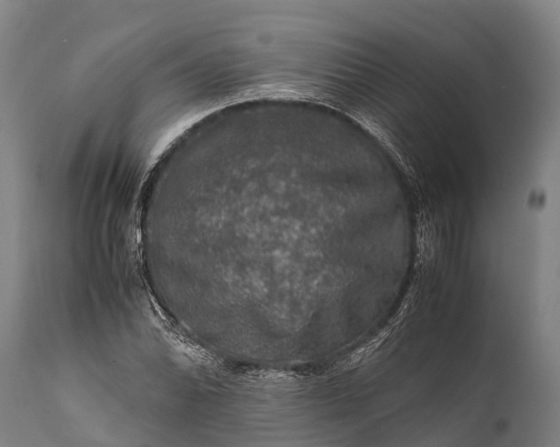 X0000112011070200908171437