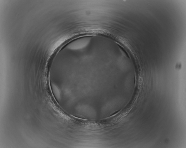 X0000112011071200908171437