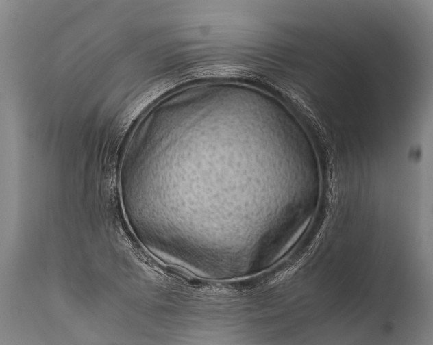 X0000112011073200908171437