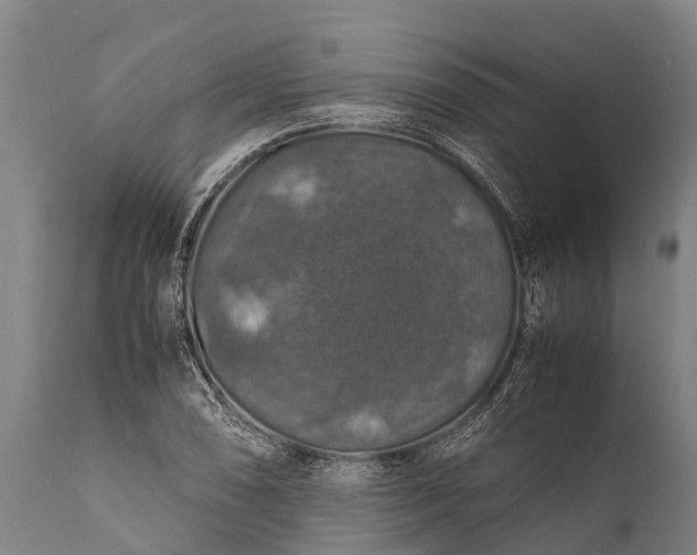 X0000112011074200908171437