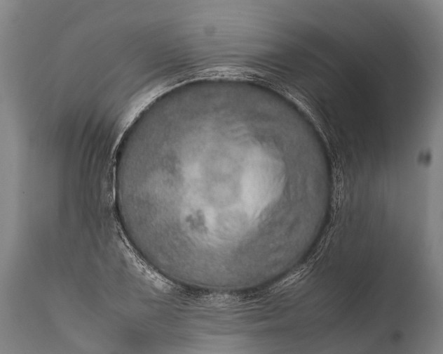 X0000112011075200908171437