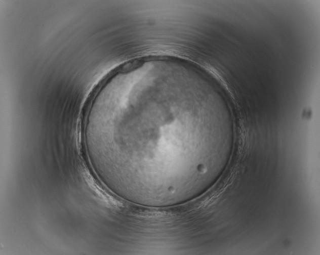 X0000112011076200908171437