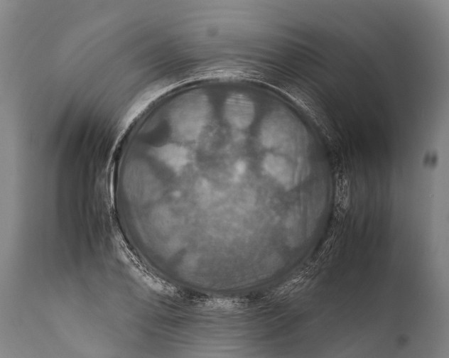 X0000112011078200908171437