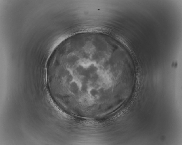 X0000112011079200908171437