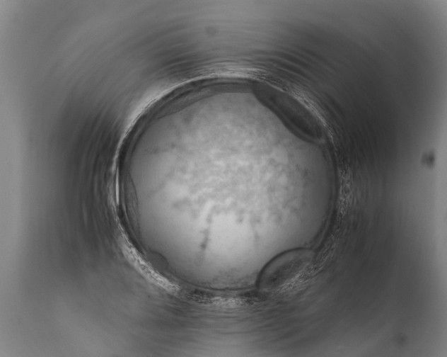 X0000112011080200908171437