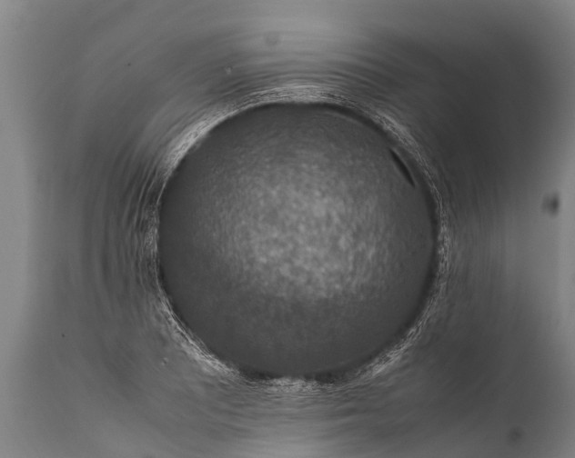 X0000112011081200908171437