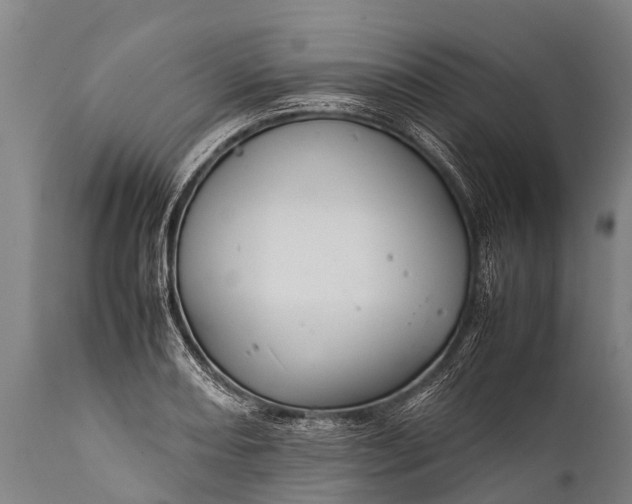 X0000112011082200908171437