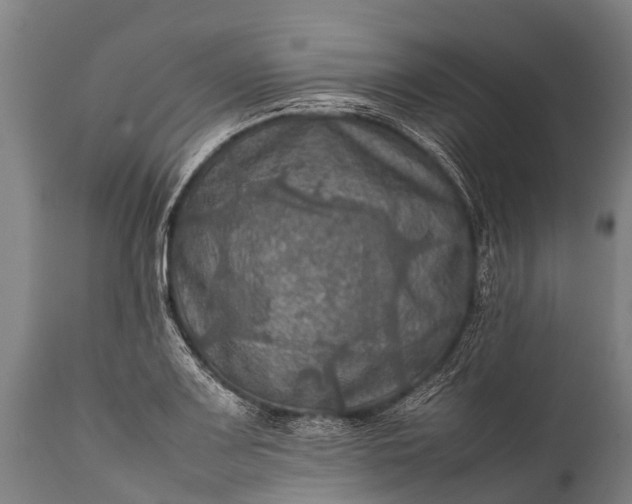 X0000112011083200908171437