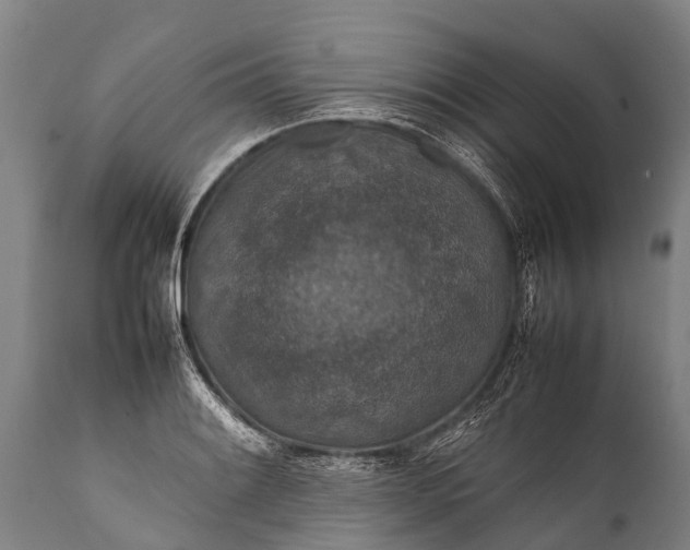 X0000112011084200908171437