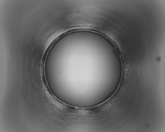 X0000112011085200908171437