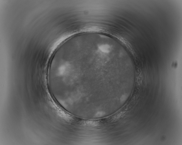 X0000112011086200908171437