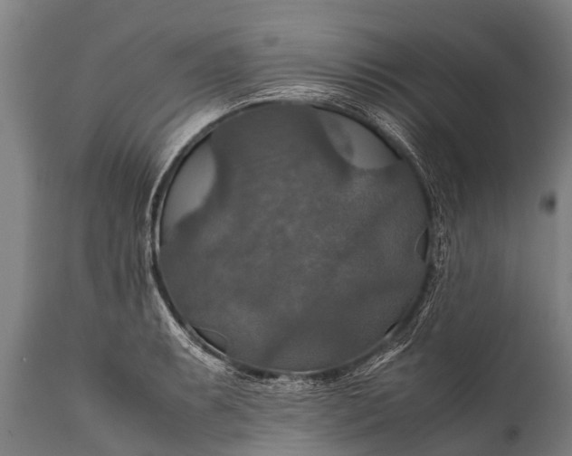 X0000112011087200908171437