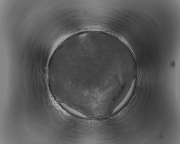 X0000112011088200908171437