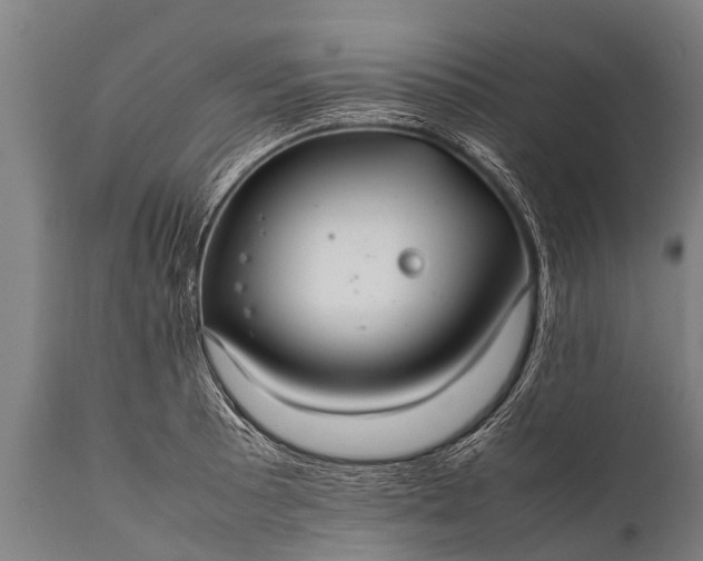 X0000112011089200908171437