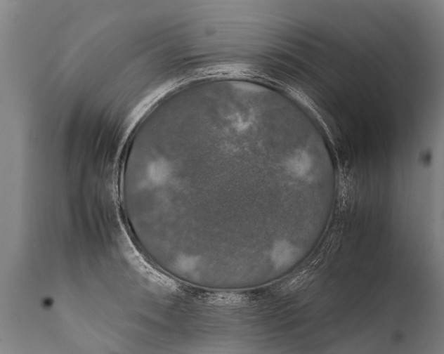 X0000112011090200908171437